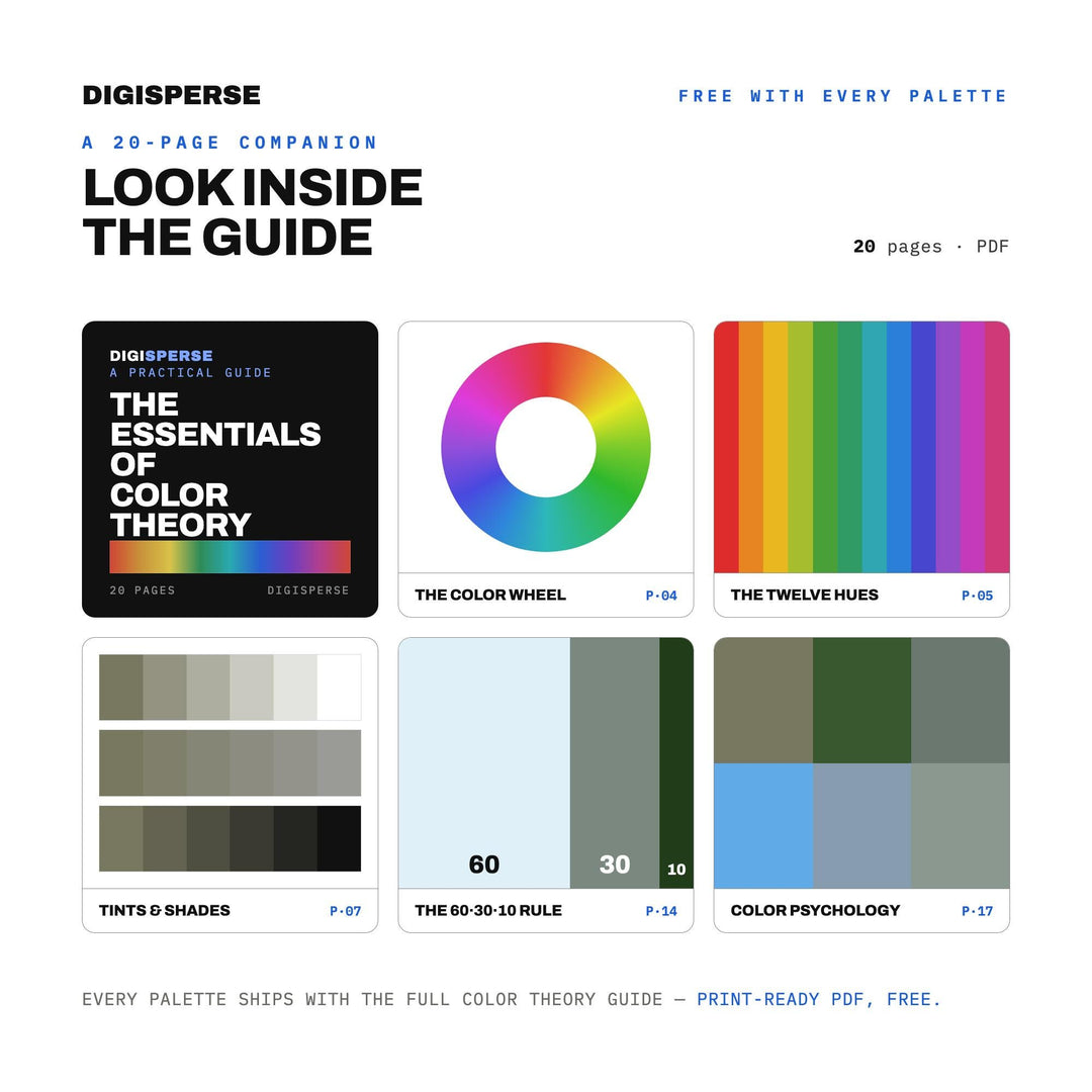 Hurricane Eye Color Palette | 30 Colors, Procreate, ASE Swatches (Digital Download)