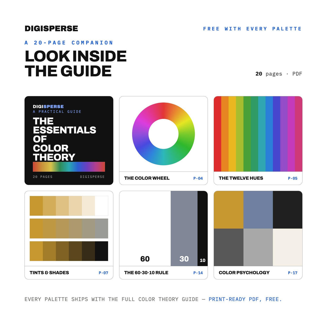 Copenhagen Grey Color Palette | 30 Colors | Hex RGB CMYK | Color Guide | Procreate Swatches + ASE | Digital Download