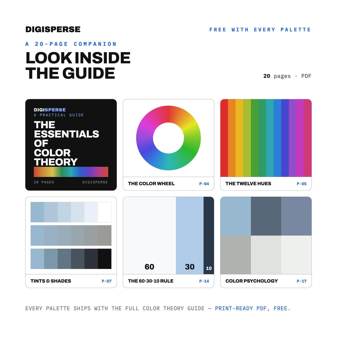 Detached Color Palette | 30 Colors | Hex RGB CMYK | Color Guide | Procreate Swatches + ASE | Digital Download