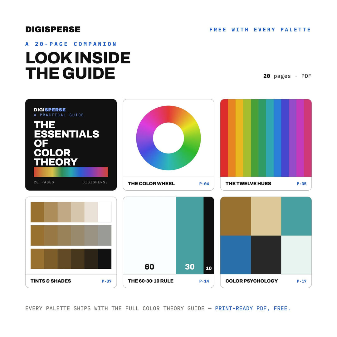 Coastal Republic Color Palette | 30 Colors | Hex RGB CMYK | Procreate Swatches + ASE | Digital Download