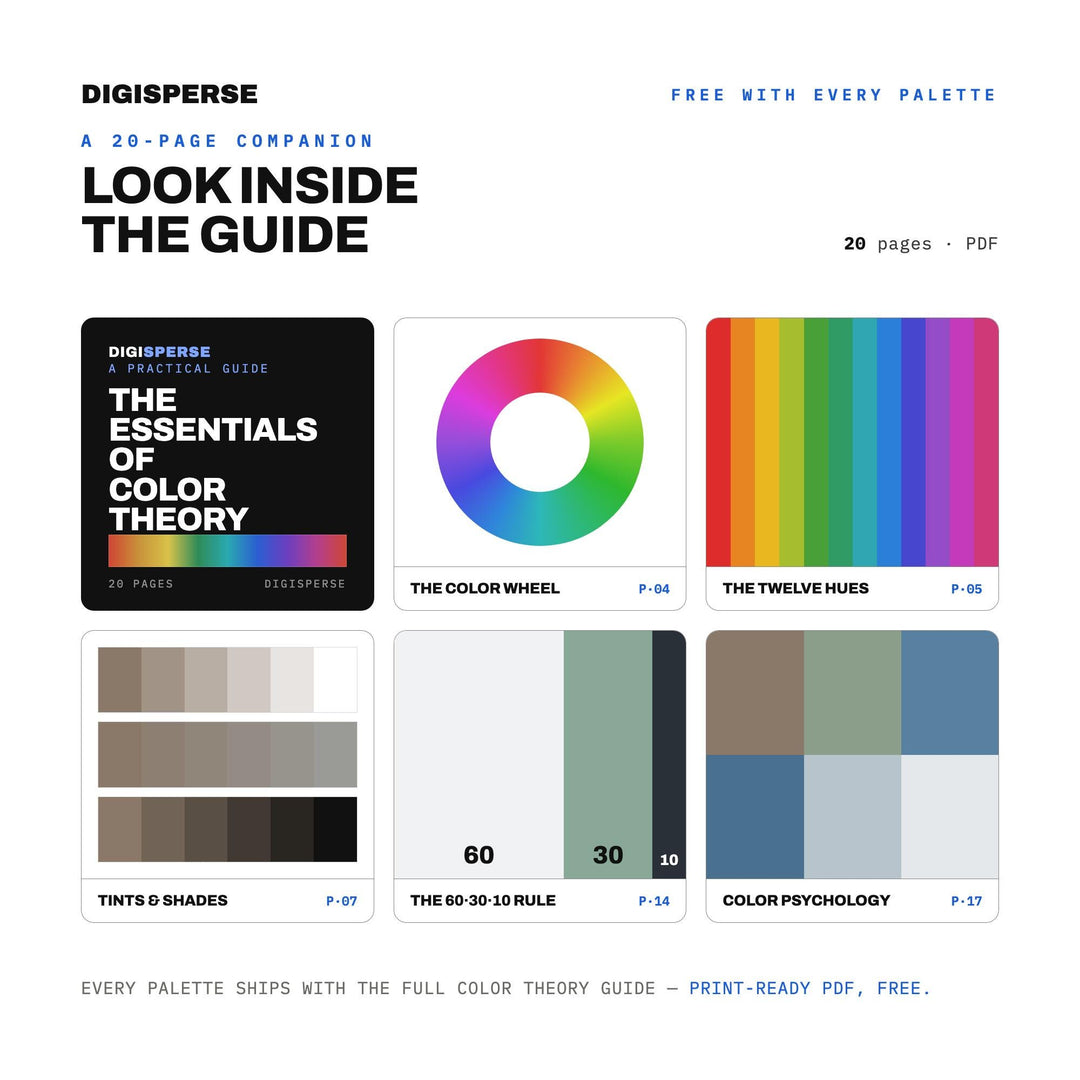 Muted Grey Color Palette for Calm Seaside Art and Foggy Shoreline Branding, 30 Coastal Fog Hues, Procreate Swatches, Hex Codes
