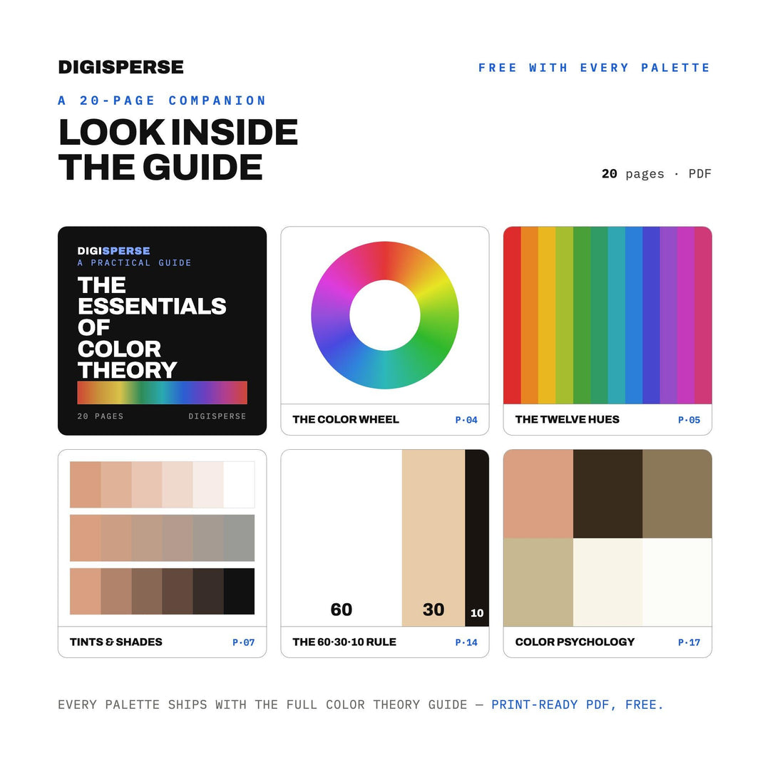 Pilates Studio Color Palette | 30 Colors | Hex RGB CMYK | Procreate Swatches + ASE | Digital Download