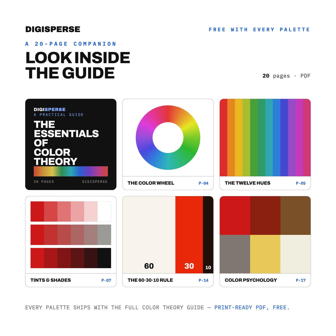 Chili Crisp Jar Color Palette | 30 Colors | Hex RGB CMYK | Procreate Swatches + ASE | Digital Download