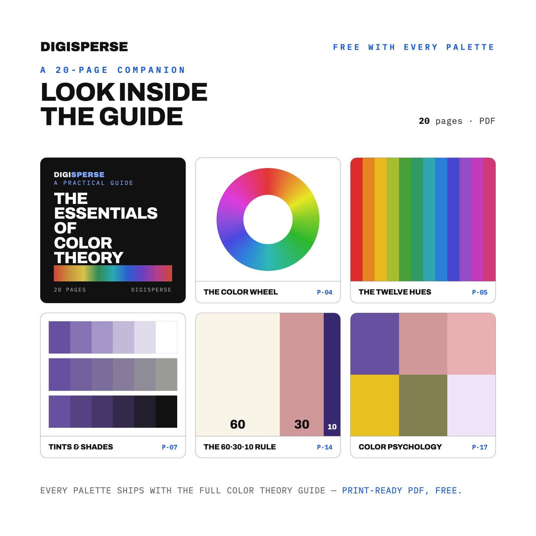 Provençal Lavender Color Palette | 30 Colors | Hex RGB CMYK | Color Guide | Procreate Swatches + ASE | Digital Download