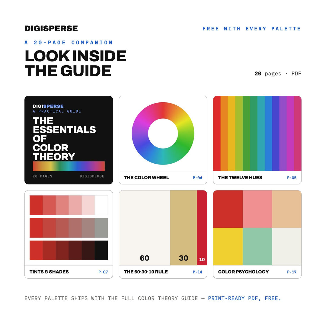 First Sunburn Color Palette | 30 Colors | Hex RGB CMYK | Procreate Swatches + ASE | Digital Download