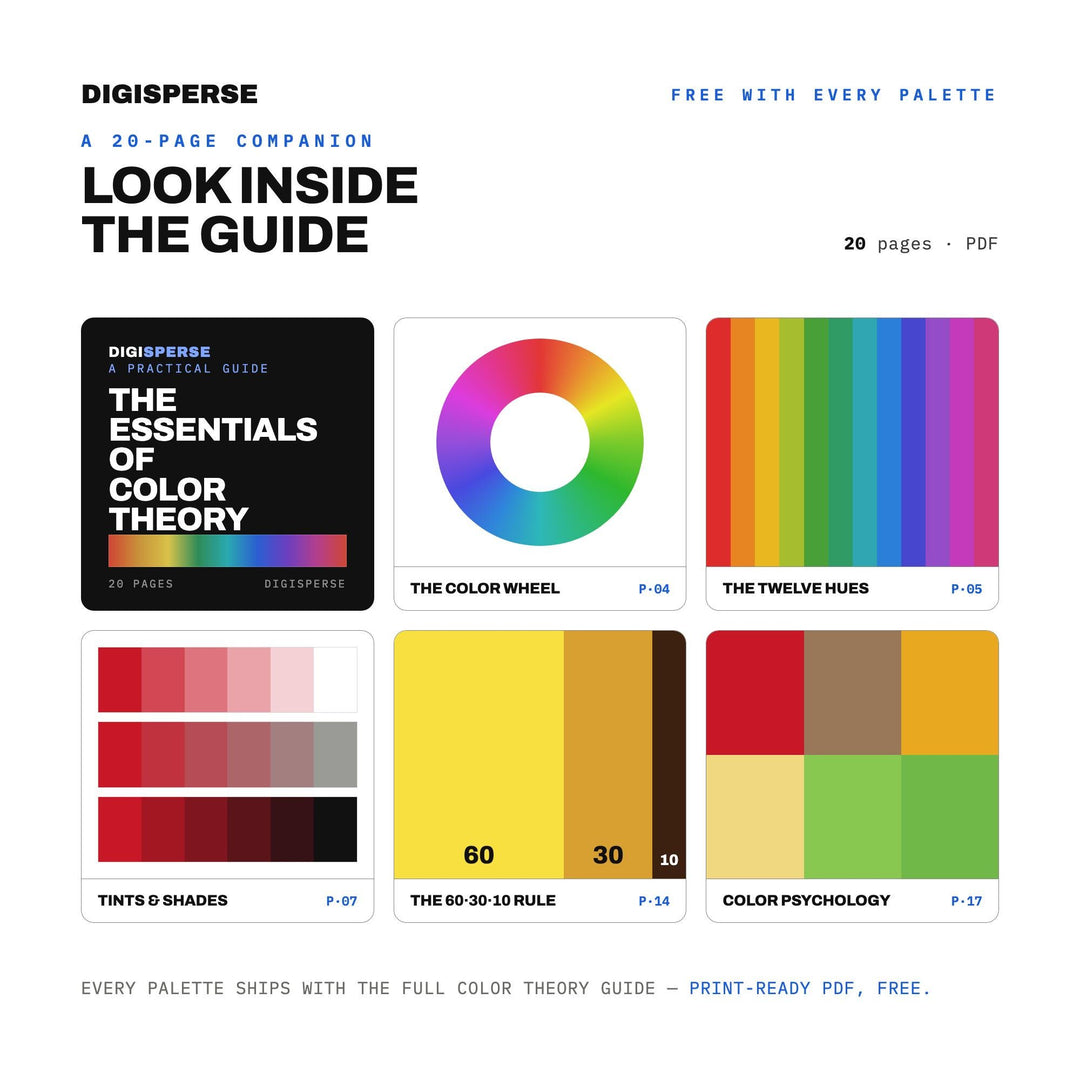 Golden Retriever Summer Color Palette | 30 Procreate Swatches, ASE (Digital Download)