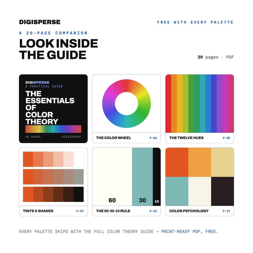 Film Grain Diary Color Palette | 30 Analog Tones, Procreate, ASE (Digital Download)