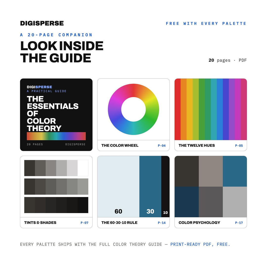 Volcanic Grey Color Palette for Dramatic Coastal Art and Iceland Travel Branding, 30 Black Sand Beach Hues, Procreate Swatches, Hex Codes