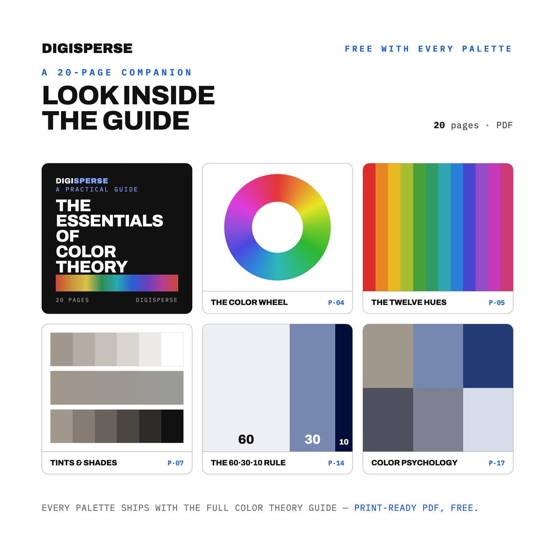 Rain-Wet Pavement Color Palette | 30 Colors | Hex RGB CMYK | Color Guide | Procreate Swatches + ASE | Digital Download