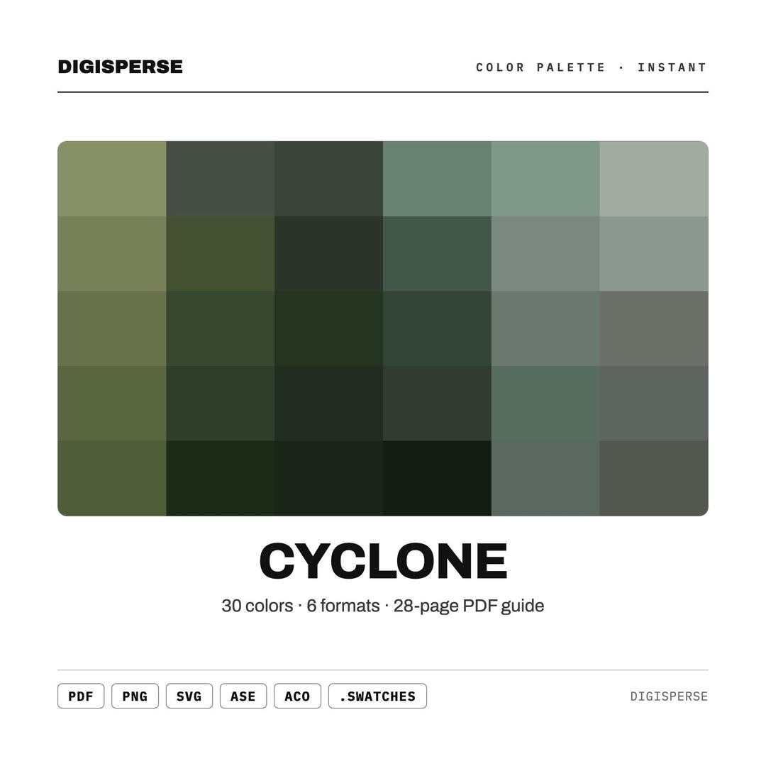 Cyclone Color Palette | 30 Colors | Hex RGB CMYK | Color Guide | Procreate Swatches + ASE | Digital Download