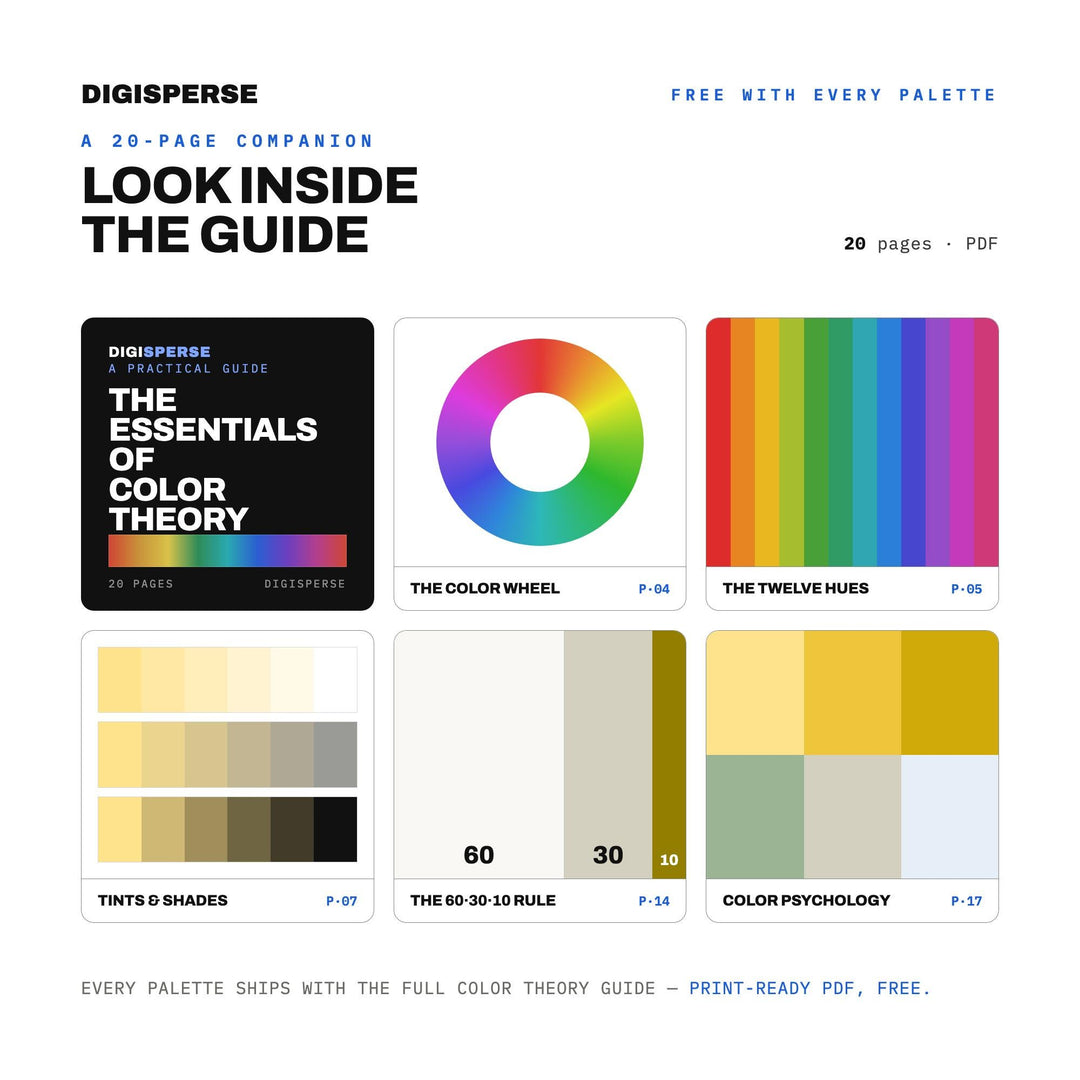 Golden Hour Color Palette for Dreamy Photography Branding and Warm Wall Art, 30 Afternoon Haze Hues, Procreate Swatches, Hex Codes