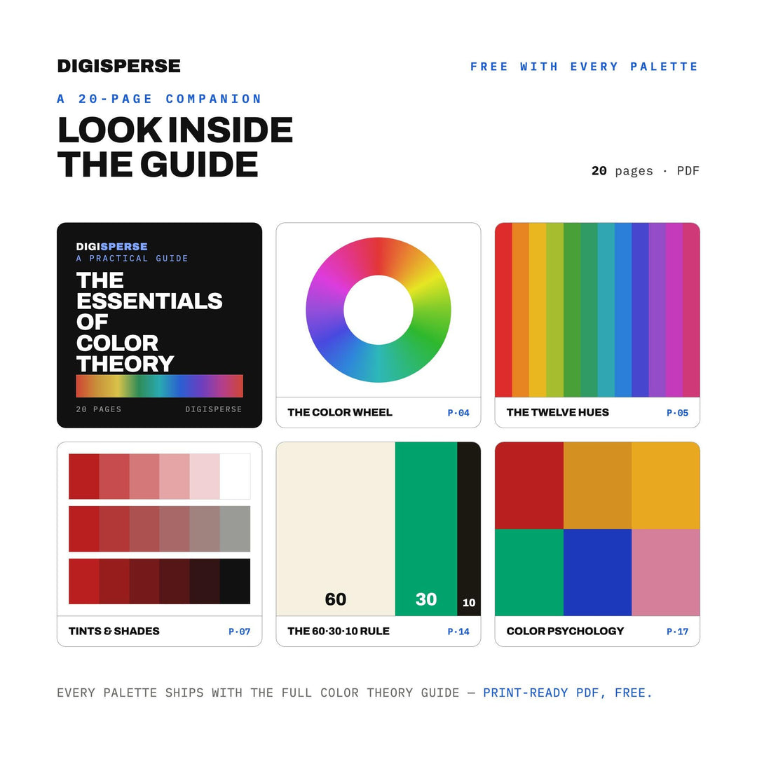 Silk Road Color Palette | 30 Colors | Hex RGB CMYK | Color Guide | Procreate Swatches + ASE | Digital Download