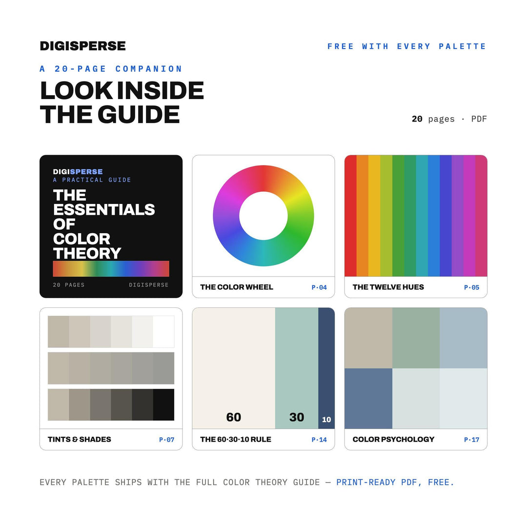 Coastal Grandmother Color Palette | 30 Colors | Hex RGB CMYK | Procreate Swatches + ASE | Digital Download