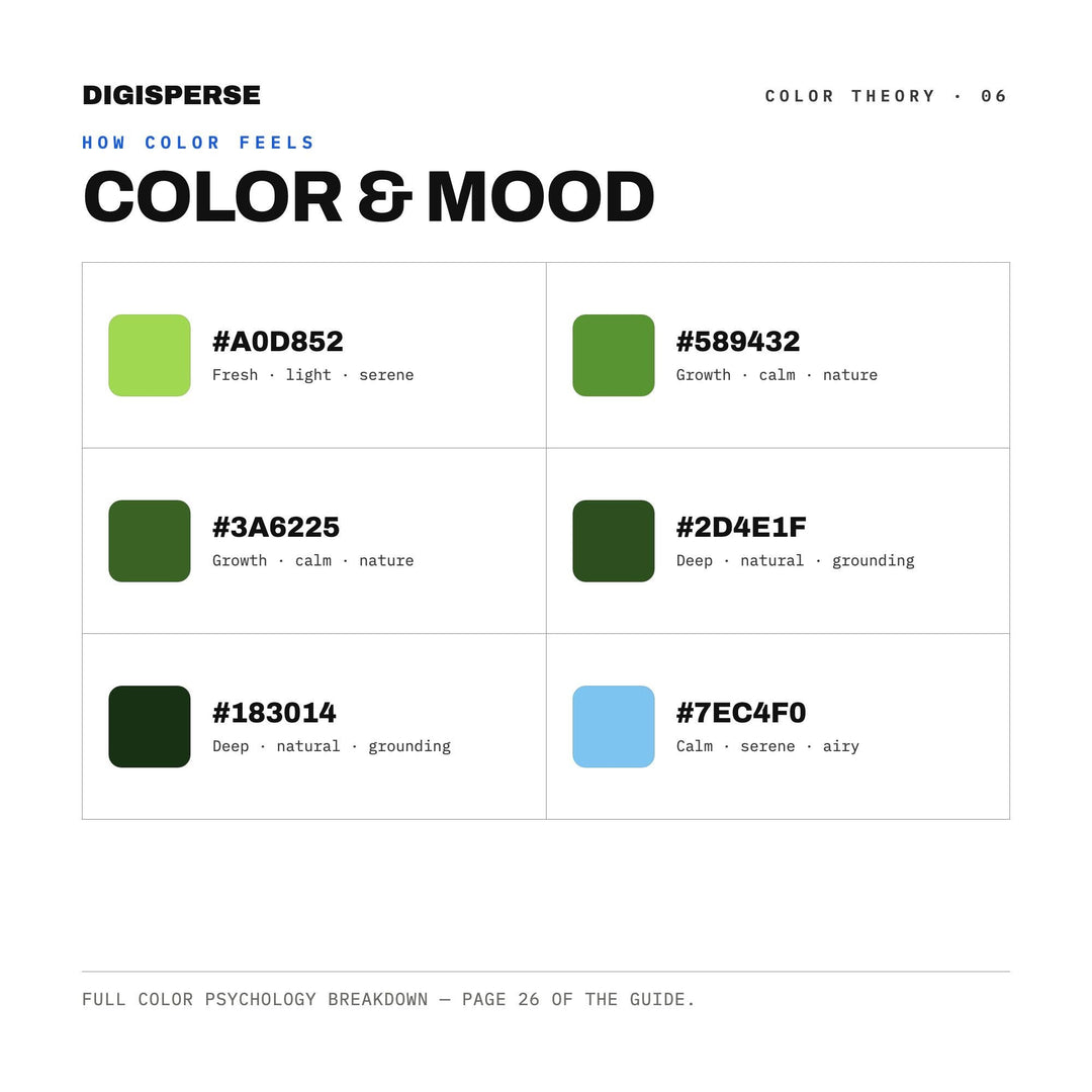 Rainforest Canopy Color Palette | 30 Colors | Hex RGB CMYK | Color Guide | Procreate Swatches + ASE | Digital Download
