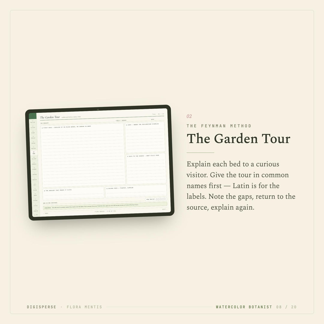 Watercolor Learning Journal | GoodNotes Digital Study Planner PDF | Cornell Notes, Reading Log + Habit Tracker | 5 Dated Formats