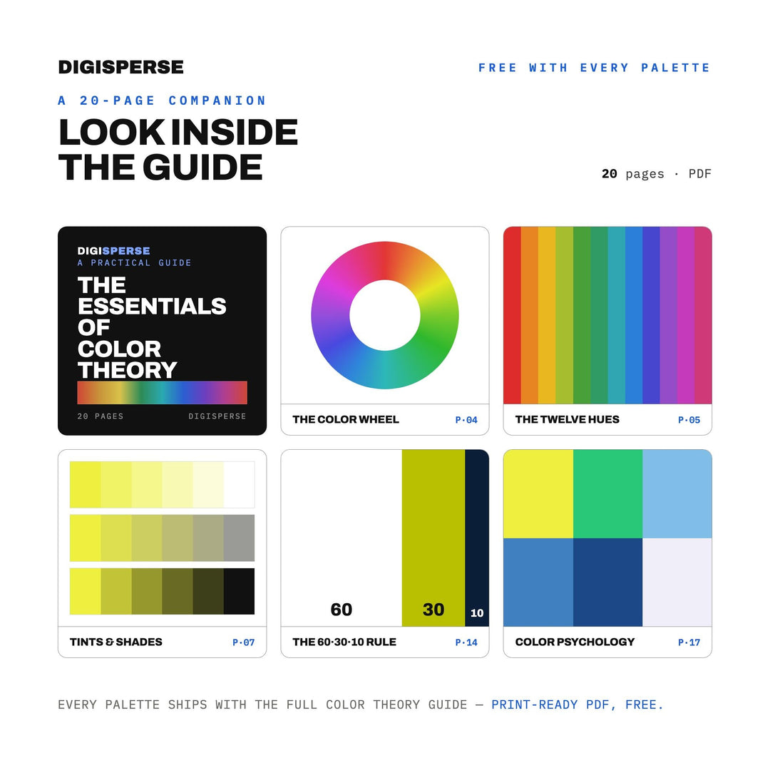 Bright Airy Color Palette for Tidy Home Art and Minimal Clean Branding, 30 Spring Fresh Hues, Procreate Swatches
