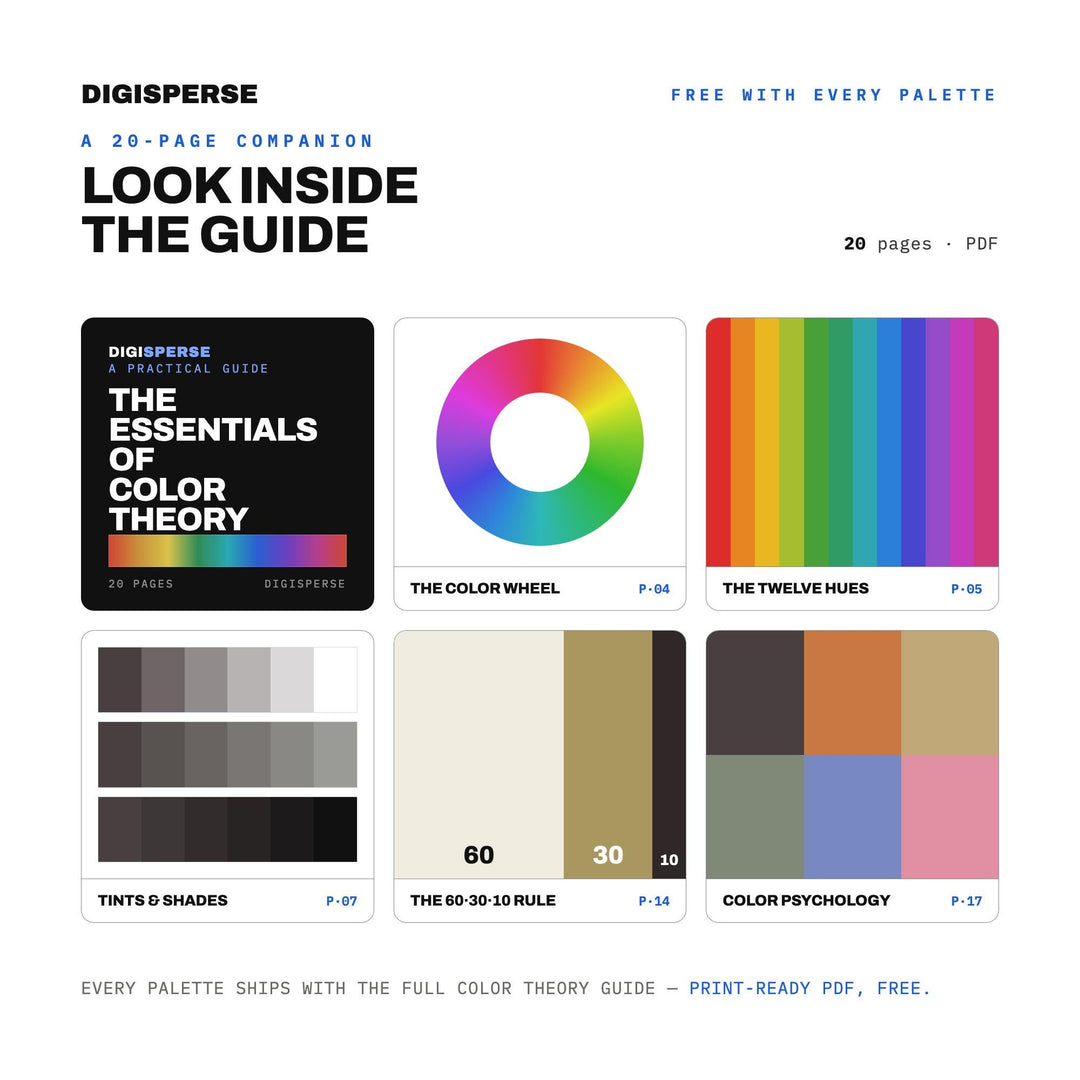 Tide Pool Golden Hour Color Palette | 30 Procreate Swatches, ASE (Digital Download)