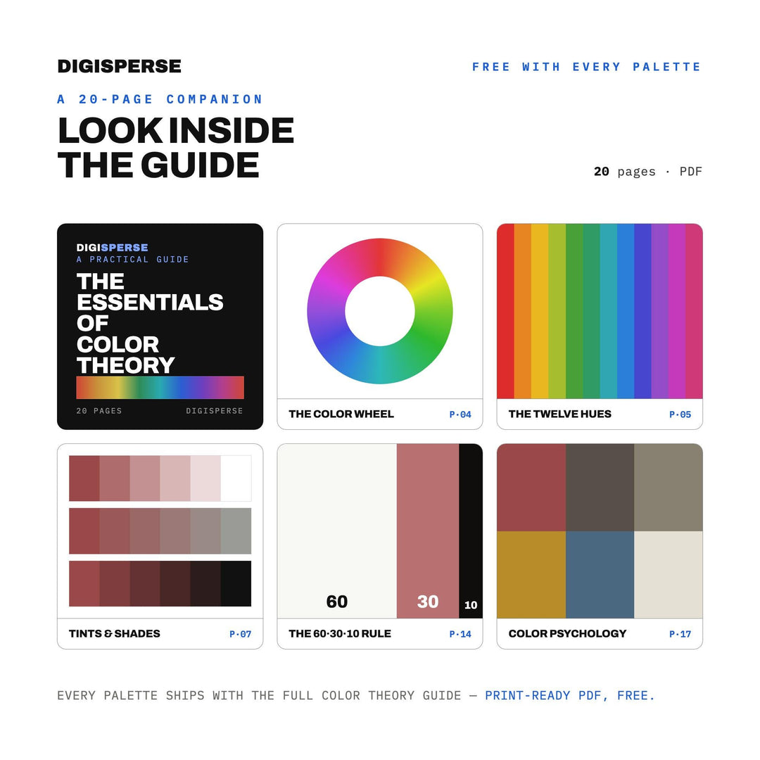 Federal Hall Stone Color Palette | 30 Procreate Swatches, ASE (Digital Download)