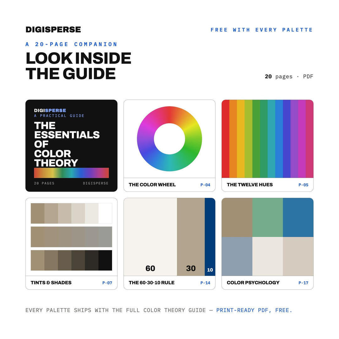 Pacific Shoreline Color Palette | 30 Colors | Hex RGB CMYK | Color Guide | Procreate Swatches + ASE | Digital Download