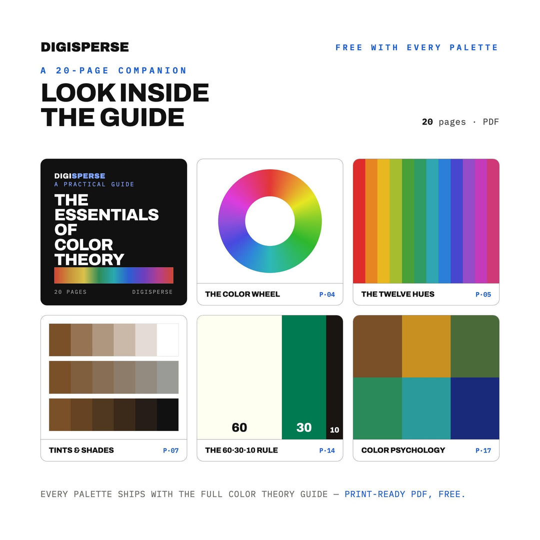 Han Dynasty Color Palette | 30 Colors | Hex RGB CMYK | Color Guide | Procreate Swatches + ASE | Digital Download color
